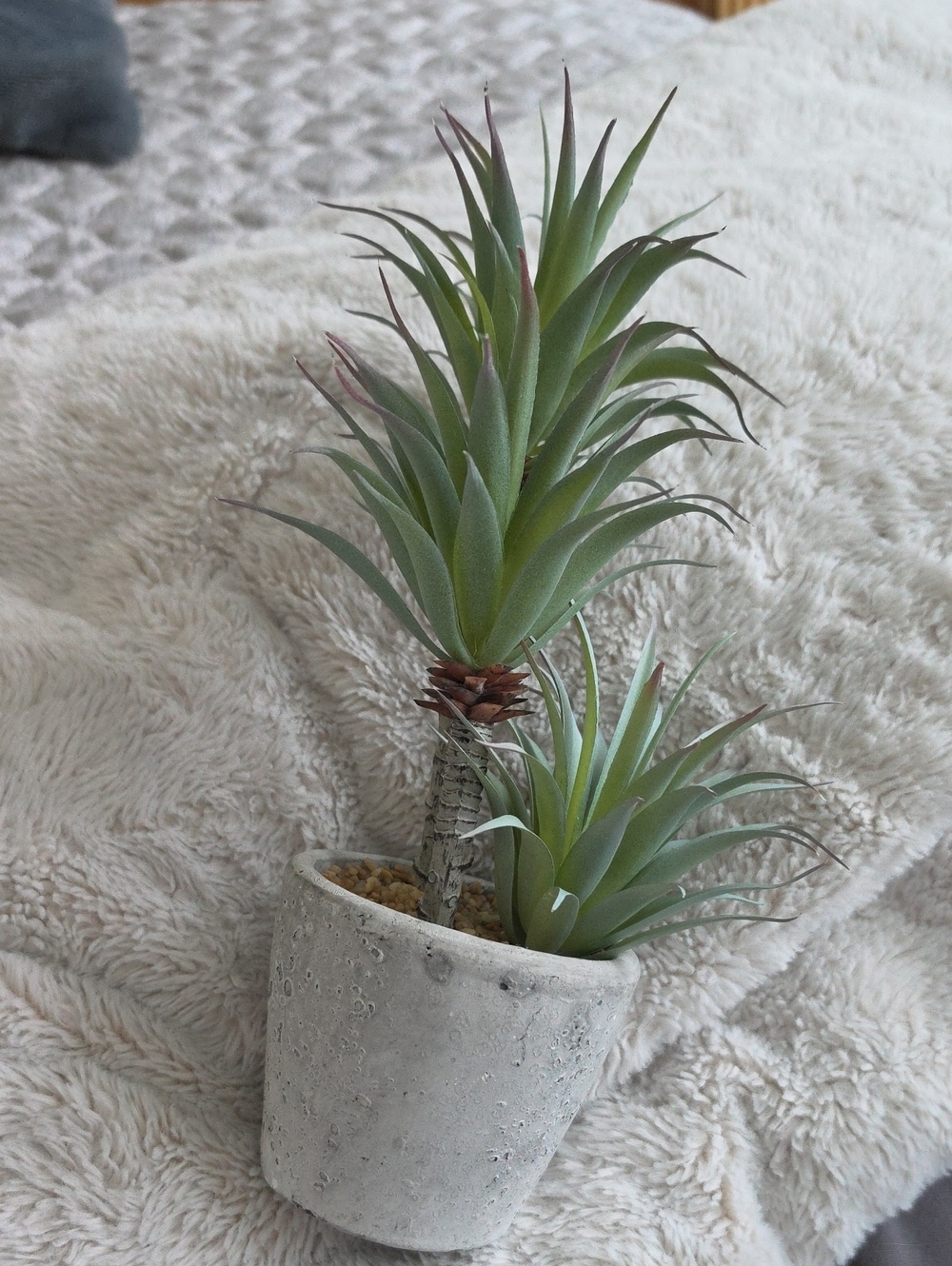 Artificial Green Succulent in Concrete Gray Pot - Home Accents